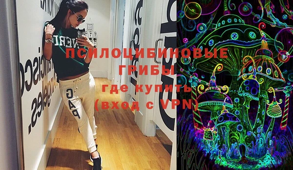 индика Кодинск