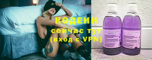 индика Кодинск