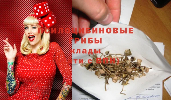 индика Кодинск