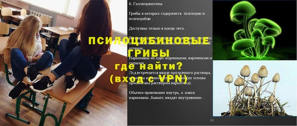 a pvp Козловка